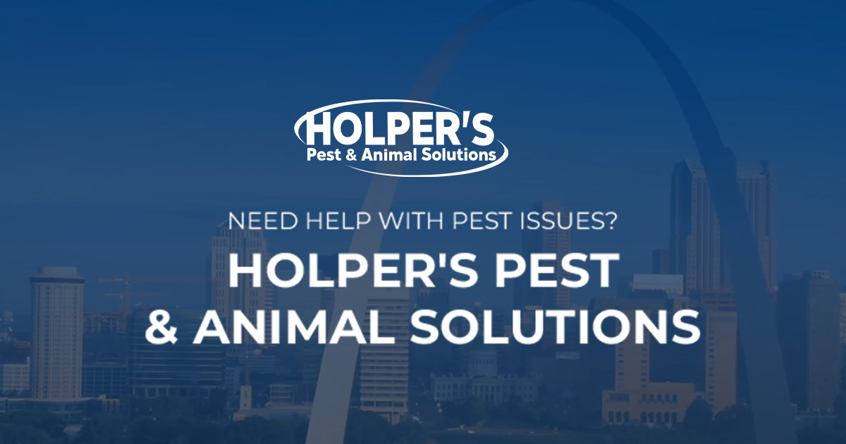 Holper's Pest & Animal Solutions STL