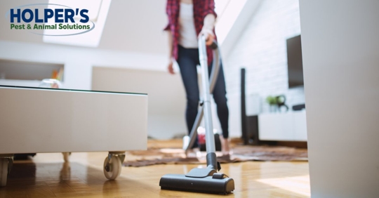 Person vacuuming in living room