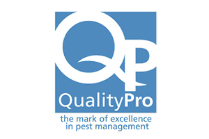 Quality Pro