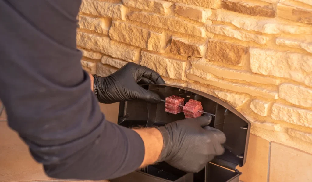 Technician wearing black gloves places red bait blocks inside an outdoor rodent bait station against a stone wall
